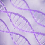 DNA