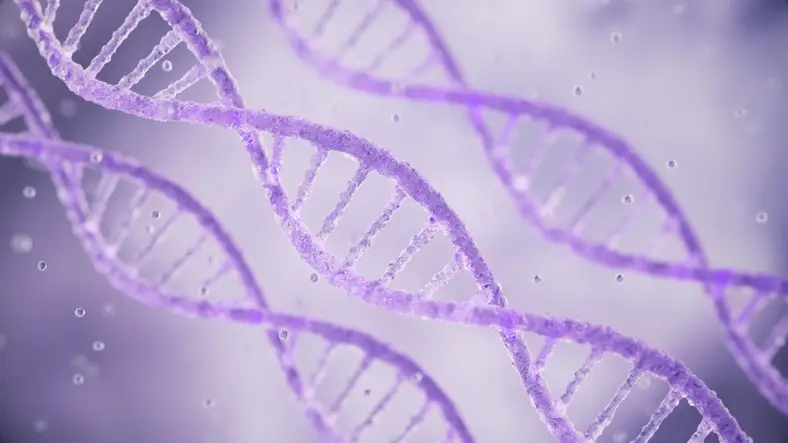 DNA